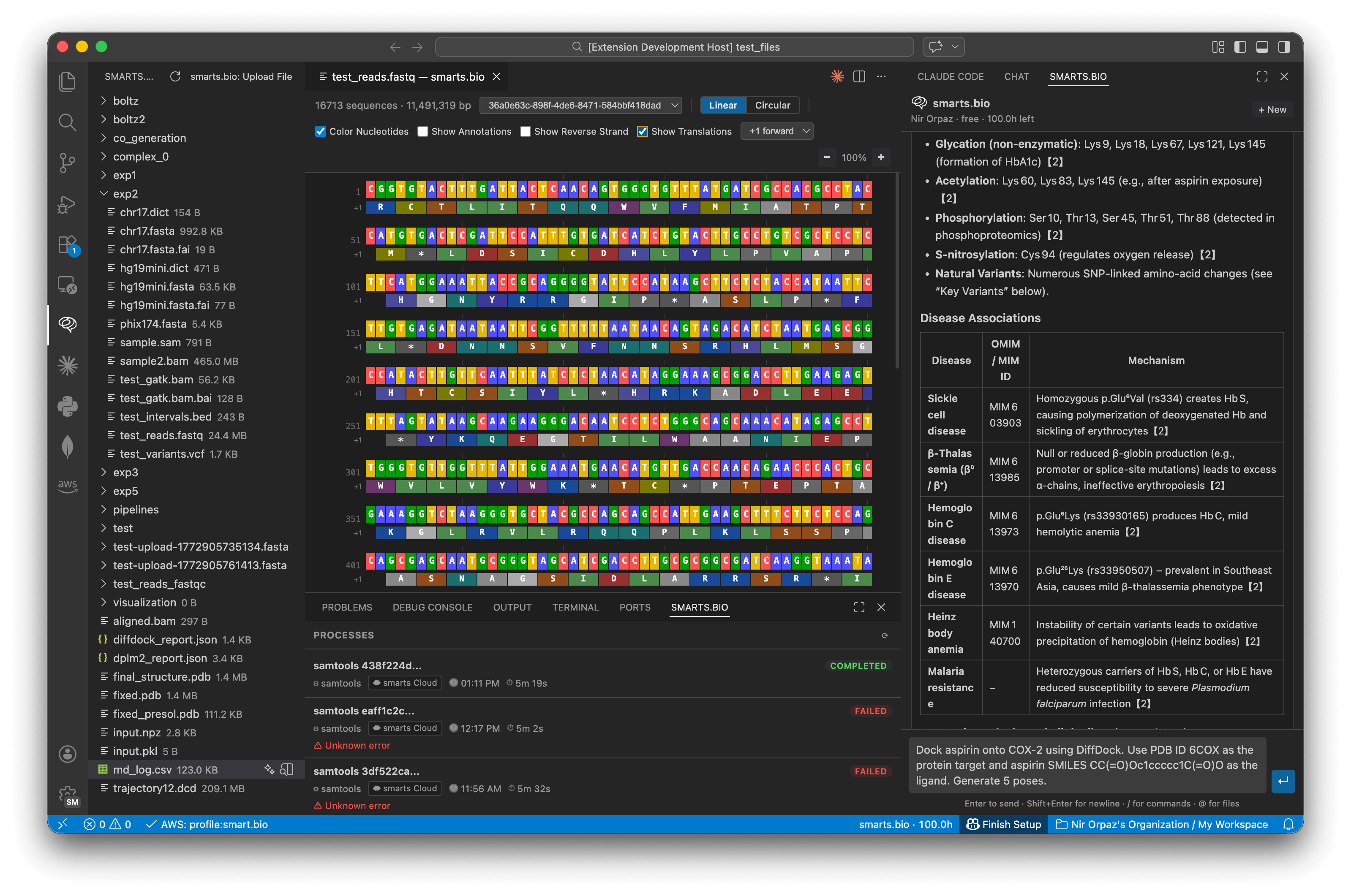 Colorized FASTQ sequence viewer with nucleotide and translation display
